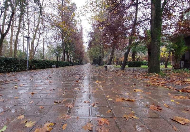 باران، مهمان دل‌نشین گیلان؛ آسمان رشت بارانی شد