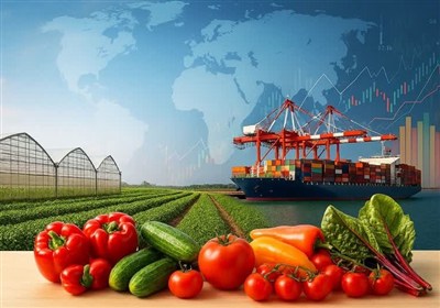 گفتوگو |صادرات محصولات گلخانهای استان مرکزی به 16 میلیون دلار رسید