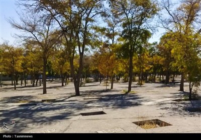 پایان سالها بلاتکلیفی آرامستان دهخدا/ قفل مالکیت قبرستان شکست/ روایت تحول دهخدا