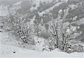 تداوم بارش برف و باران در سمنان/ کاهش دمای هوا و احتمال کولاک