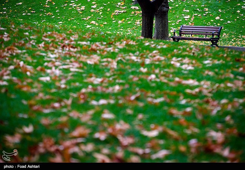 عکس پاییز در پارک ملت مشهد