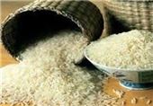 واردات برنج از هند متوقف شد