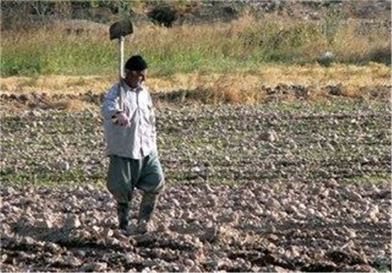 بیش از 12 هزار تن هندوانه در سیرجان برداشت شد