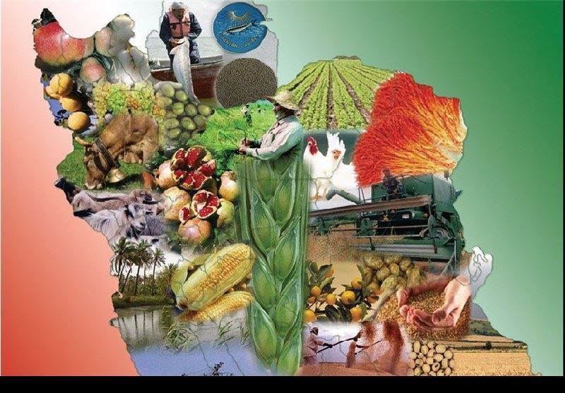 بیش از 64 هزار هکتار از باغات استان مرکزی زیرکشت انواع محصولات کشاورزی است