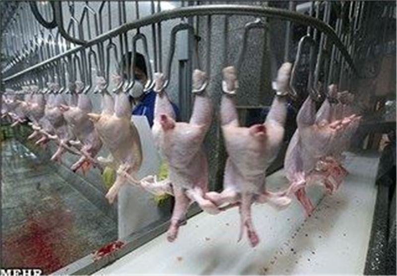 Iran to Begin Chicken Exports to Russia: Official