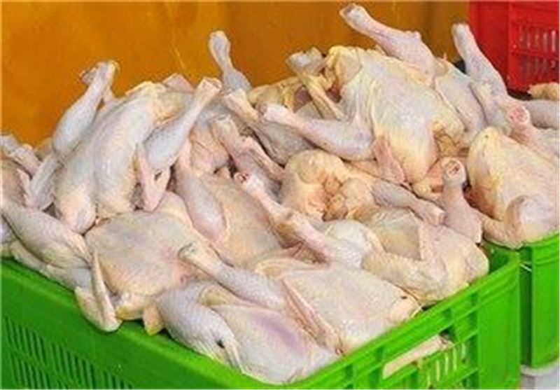 تولید 700 تن گوشت مرغ در تنگستان