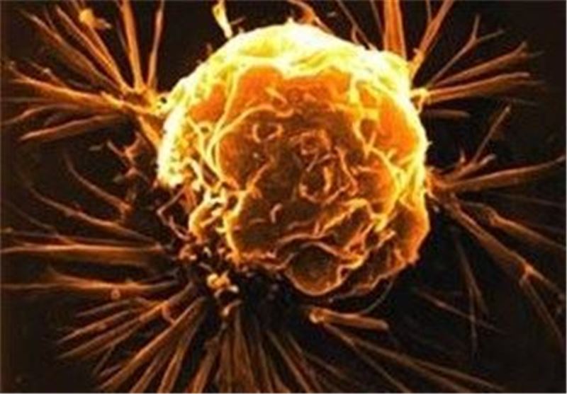Potential Drug Target to Nip Cancer in Bud