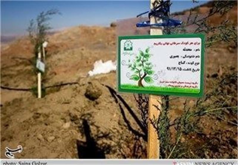 غرس 2 هزار اصله نهال در شهرک‌ها و نواحی صنعتی گلستان‌