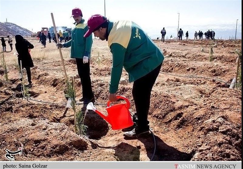 توزیع 70 هزار اصله نهال برای توزیع بین شهروندان اصفهانی