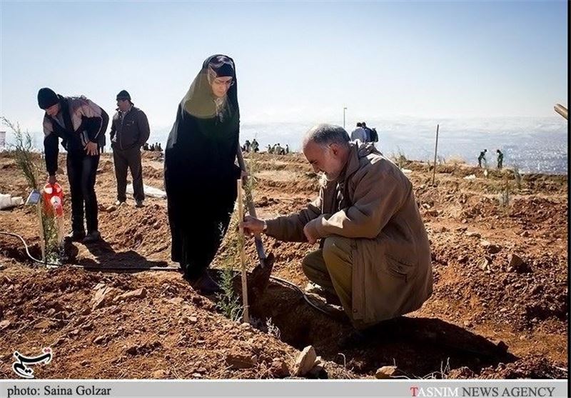 بزرگترین بوستان شهدا با کاشت نهال از سوی 1200 مادر شهید در ارومیه احداث می‌شود