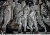 بیش از 34 میلیون قطعه بچه ماهی قزل آلا در استان مرکزی تولید شد