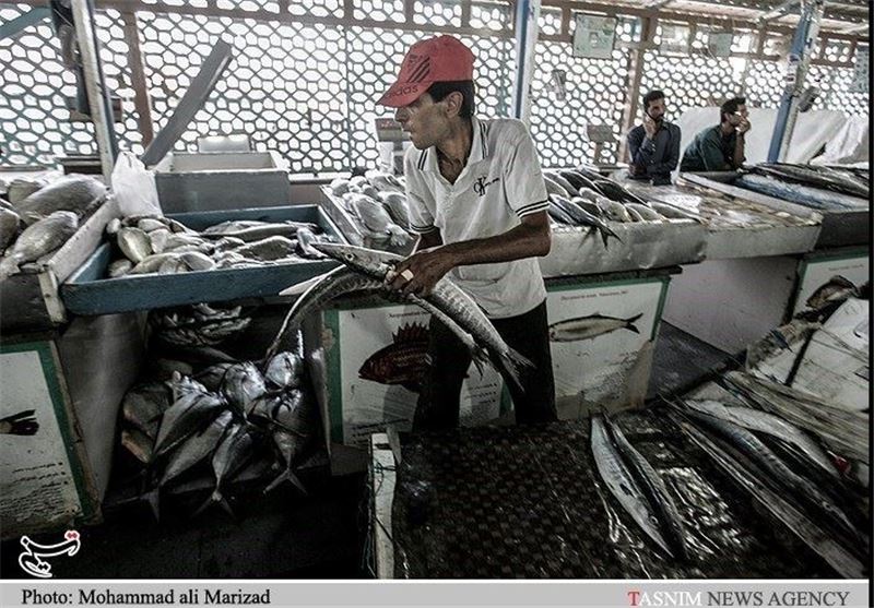 بازار الگویی ماهی شمال کشور در انزلی احداث می‌شود