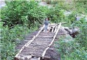 تخریب‌ جنگل فندقلوی شهرستان نمین متوقف شود