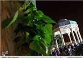 تصاویر مهمانان نوروزی در حافظیه شیراز