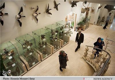 Iran Darabad Museum of Nature, Wildlife - Tourism news