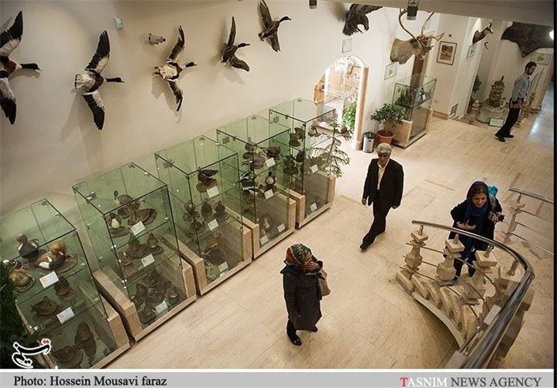 Iran Darabad Museum of Nature, Wildlife