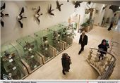 ضرورت احداث موزه منابع طبیعی در شهرضا