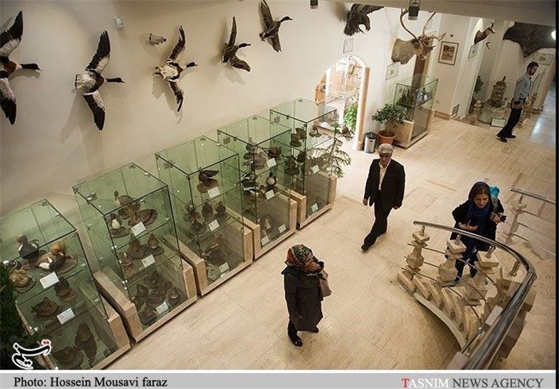 ضرورت احداث موزه منابع طبیعی در شهرضا