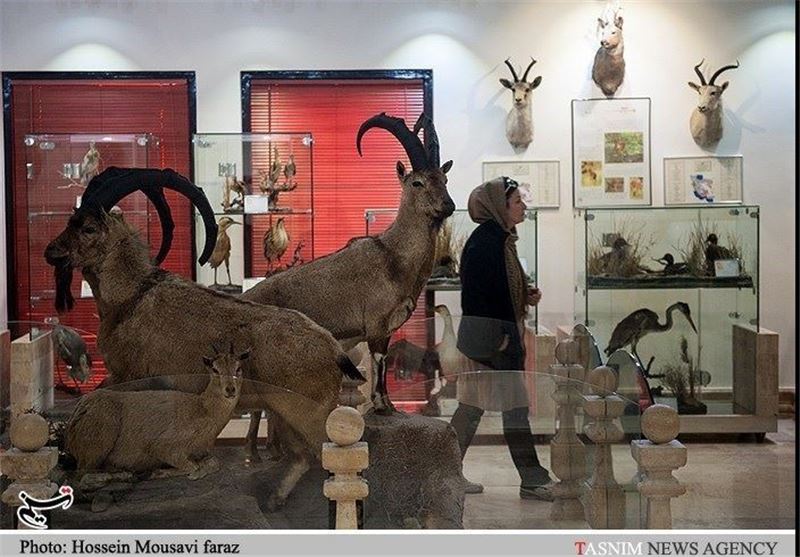 موزه مجازی پارک ملی بمو شیراز راه‌اندازی شد
