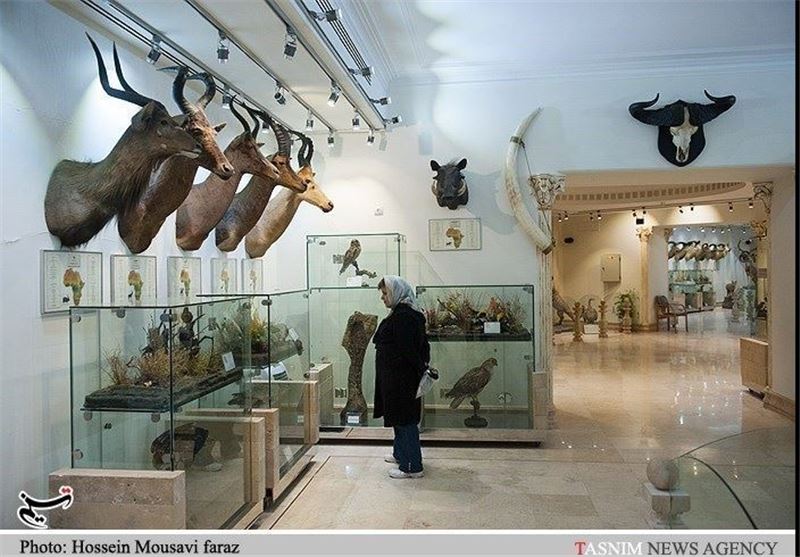 بازدید از موزه تاریخ طبیعی سیستان و بلوچستان در ایام نوروز رایگان است