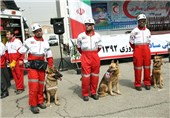 اعزام 17 تیم سگ‌های زنده یاب به مناطق زلزله زده سراوان