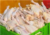 پیشنهاد مرغ 5500 تومانی به دولت رفت/ تعیین قیمت فردا در کارگروه تنظیم بازار
