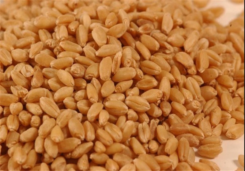مشکلی در تامین آرد و گندم در آذربایجان غربی وجود ندارد