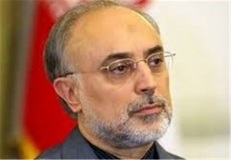 Salehi Appointed as Head of Atomic Energy Organization of Iran