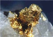 600 کیلوگرم طلا در خراسان جنوبی تولید شد