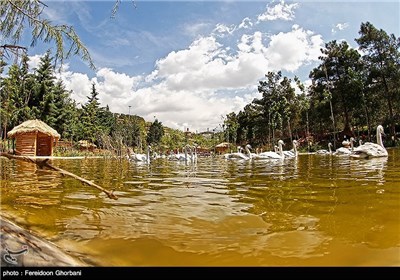 باغ پرندگان تهران