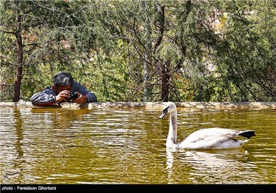 باغ پرندگان تهران