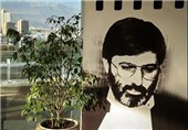 پنج فیلم انجمن سینمای انقلاب و دفاع مقدس در «جایزه شهید آوینی»
