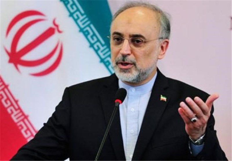 Salehi Renews Iran&apos;s Concern over Events in Egypt