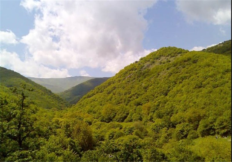 وجود بیش از 15 هزار هکتار جنگل طبیعی در مرکزی