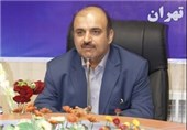 حسین‌نژاد مدیرعامل صندوق ضمانت سرمایه‌گذاری تعاون شد