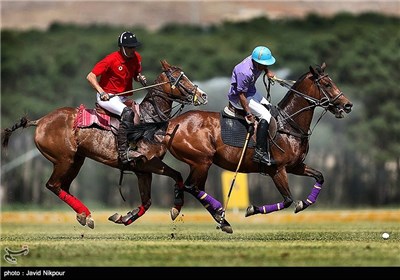 مسابقات قهرمانی چوگان جام خلیج فارس در مجموعه ورزشی قصر فیروزه