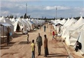 500 اثر برتر با موضوع اسناد حمایت از پناهندگان در کشور ثبت شد