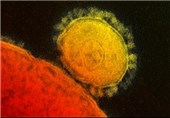 مشاهده اولین مورد ابتلا به ویروس مرس در عمان پس از عربستان