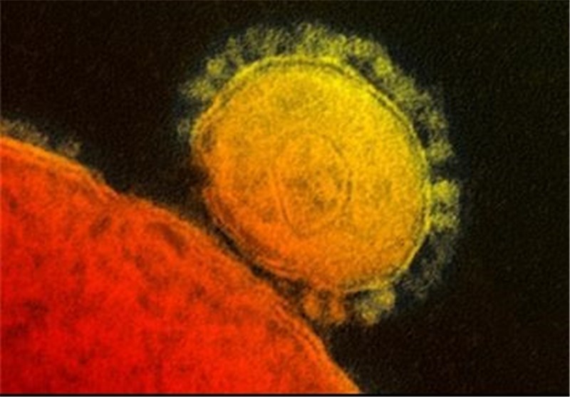 MERS Virus Cases in Saudi Arabia Rise to 491, Including 147 Deaths