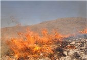 خسارت 520 میلیون ریالی بابت آتش سوزی عرصه های طبیعی خراسان شمالی