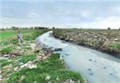750 هکتار از اراضی ملی رودخانه کشف رود رفع تصرف شده است