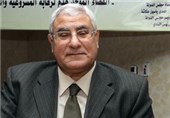 عدلی منصور: مردم مصر برای بازگرداندن انقلاب 30 ژوئن برخاستند