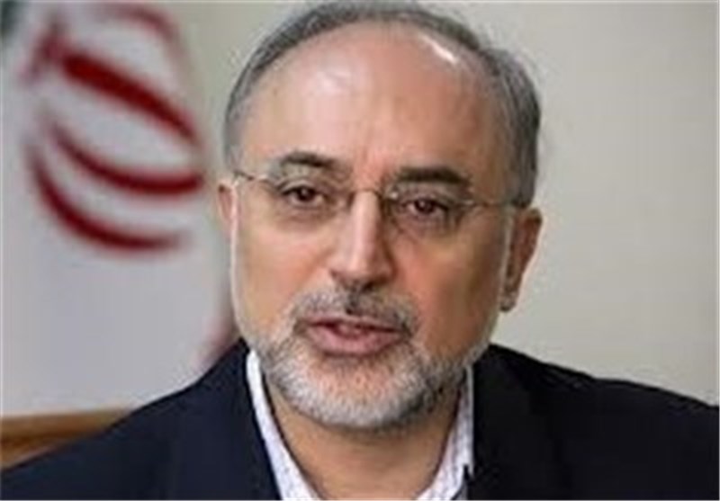 AEOI Chief Upbeat about Iran,G5+1 Nuclear Talks