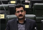 اتکا به اقتصاد تک محصولی ایران از نفت به فرش تغییر یابد