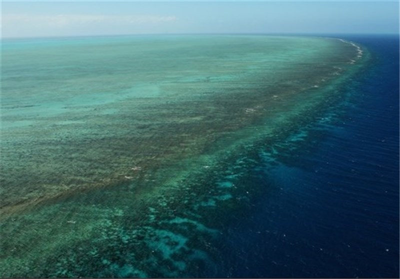 آلودگی‌های نفتی؛ متهم ردیف اول مرگ تدریجی مرجان‌های خلیج فارس