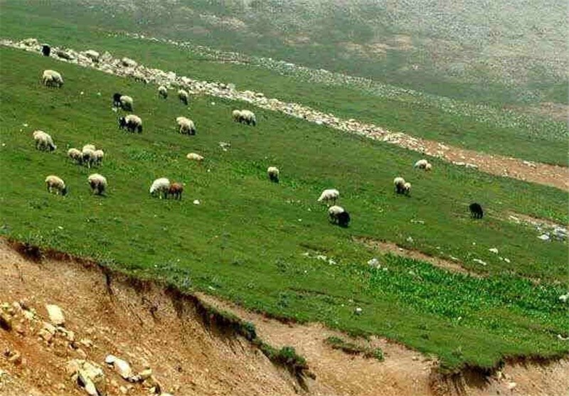 محدوده 90 درصد منابع طبیعی در کردستان مشخص شد