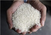 850 تن برنج دانه بلند در اردبیل ذخیره سازی شده است