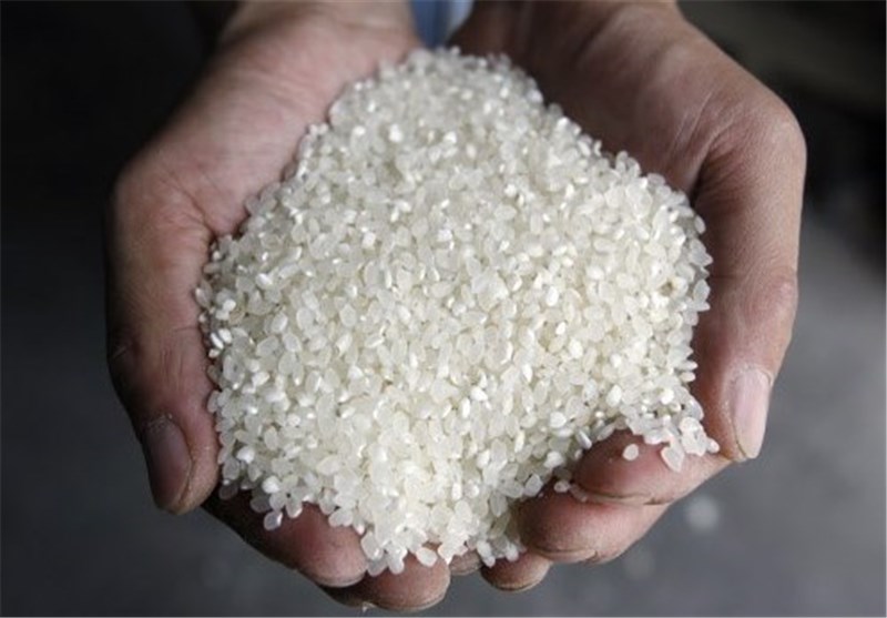 استاندارد ایران مبنای واردات برنج از هند شد/ واردات برنج از مناطق پاک هند