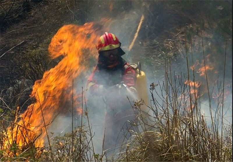 آتش در «گلستان» ایران/ روند اطفای حریق در جنگل ادامه دارد