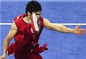 پایان جام جهانی تالو با چهار مدال برای ووشوکاران ایران